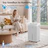 KNKA 34-Pint Smart Dehumidifier with 3 Modes and Multi-Drainage System Layouts