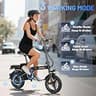 RPINT 14-Inch Mini Folding Electric Commuter Bike, 740W Motor, 48V 10Ah
