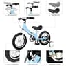 bikeboy 3-in-1 Toddler Balance to Pedal Bike with Training Theory Design