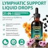 Nature's Craft Organic Lymphatic Cleanse and Immune Support Liquid Drops