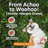 Zesty Paws Allergy Immune Bites, Peanut Butter Dog Probiotic Supplement, 90 Ct