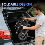 RPINT 14-Inch Mini Folding Electric Commuter Bike, 740W Motor, 48V 10Ah