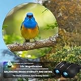 Hontry 10x25 Ultra-Compact Pocket Binoculars for Travel and Sightseeing