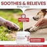 Antibacterial & Antifungal Chlorhexidine Dog Paw Cleaning Wipes, 50 Count