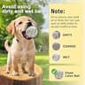 XIMUSON Automatic USB-Rechargeable Dog Ball Launcher for Small & Medium Breeds