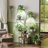 PRAISUN 51-Inch 8-Tier Curved-Tube Plant Stand with Smart Grow Light System