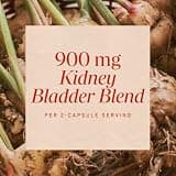 Nature's Way Kidney Bladder Premium Blend with Traditional Herbs, 100 Capsules