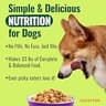 Azestfor Complete Homemade Dog Food Vitamins Pre-Mix Powder for Raw & BARF Diets