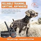 SportDOG FieldTrainer 425XS Stubborn Dog Waterproof Remote Training Collar