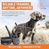 SportDOG FieldTrainer 425XS Stubborn Dog Waterproof Remote Training Collar