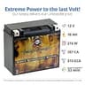 Pirate Battery YTX20HL-BS Maintenance-Free 12V 19Ah AGM Marine Battery