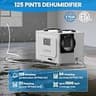 CADPXS 125-Pint High-Performance Crawl Space Dehumidifier with Drain Hose