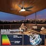 Phylluz 42-Inch Smart Plug-In Outdoor Ceiling Fan with 4600 CFM and App Control