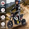 Generic 24V 350W Off-Road Electric Mini Dirt Bike with 12-Inch Fat Rubber Tires