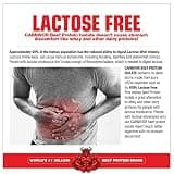 MuscleMeds CARNIVOR Beef Protein Isolate Powder, Sugar-Free, Chocolate
