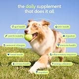Native Pet The Daily 11-in-1 Dog Vitamins & Supplement Powder for Whole-Body Health