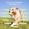 Native Pet The Daily 11-in-1 Dog Vitamins & Supplement Powder for Whole-Body Health
