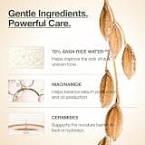 Anua Rice 70 Glow Milky Toner with Niacinamide and Ceramides, 8.45 fl oz