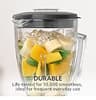 Oster Classic Series 16-Speed Blender with 6-Cup Glass Jar and 3-Cup Chopper