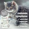 HomeoPet Feline Nose Relief Natural Liquid Drops for Sinus Support, 15 Milliliters