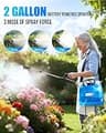 Sylsmart 2-Gallon Dual-Battery Powered Sprayer with 31-Inch Telescopic Steel Wand