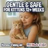 Bodhi Cat No More Marking Dual-Action Deterrent and Odor Neutralizer, 8 oz