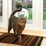 SureFlap Microchip Cat Flap with 32-Pet Memory and One-Button Programming