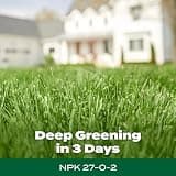 Scotts Green Max Lawn Food Granular Fertilizer with 5% Iron for Rapid Greening