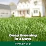 Scotts Green Max Lawn Food Granular Fertilizer with 5% Iron for Rapid Greening