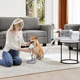NEWBULIG Entry-Level Pet Grooming Vacuum Kit with Oversized 2.5L Capacity Bin