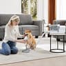 NEWBULIG Entry-Level Pet Grooming Vacuum Kit with Oversized 2.5L Capacity Bin