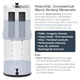 Big Berkey Gravity-Fed Stainless Steel Countertop Water Filter System, 2.25 Gallon