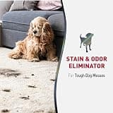 Nature’s Miracle Advanced Severe Mess Dog Stain & Odor Eliminator Pourable Jug