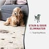 Nature’s Miracle Advanced Severe Mess Dog Stain & Odor Eliminator Pourable Jug