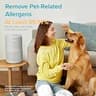 Levoit Core P350-P True HEPA Pet Care Air Purifier with ARC Formula (219 sq ft)