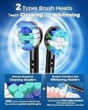 TEETHEORY Deep Clean Rotating Electric Toothbrush Set with 8 Replacement Brush Heads