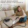 Happudeok 2500W High-Pressure Steam Cleaner with Transparent 1.25L Tank