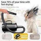 Blanlody 3800W 5.2HP High Velocity Pet Hair Grooming Blower for Large Dogs
