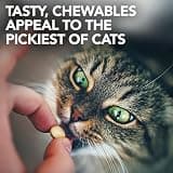 Vet's Best Cat Urinary Supplement Chewable Tablets with Natural Ingredients