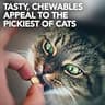 Vet's Best Cat Urinary Supplement Chewable Tablets with Natural Ingredients