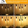 Brightever 100ft Outdoor LED String Lights with 52 Dimmable Vintage Edison Bulbs