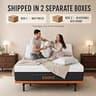 ESHINE Split-Top Queen Adjustable Frame with Plush 14-Inch 5.5-Layer Hybrid Foam Mattress
