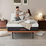 ESHINE Split-Top Queen Adjustable Frame with Plush 14-Inch 5.5-Layer Hybrid Foam Mattress