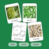 PURELID 100-Count Tea Tree Eyelid Wipes with Hyaluronic Acid and Aloe Vera
