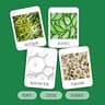 PURELID 100-Count Tea Tree Eyelid Wipes with Hyaluronic Acid and Aloe Vera