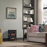 Duraflame 3D Infrared Quartz Electric Fireplace Stove Heater in Matte Black