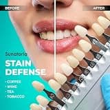 SUNATORIA Teeth Whitening Powder with Activated Coconut Charcoal and Bentonite Clay