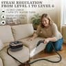 Happudeok 2500W High-Pressure Steam Cleaner with Transparent 1.25L Tank