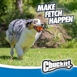Chuckit! Ultra Ball Natural Rubber Interactive Fetch Dog Toy (Medium, 2-Pack)