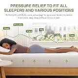 EGOHOME 8 Inch Green Tea Memory Foam Full Mattress with Cooling Gel Layer, Medium